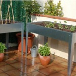 Horta Urbana Horta Urbana