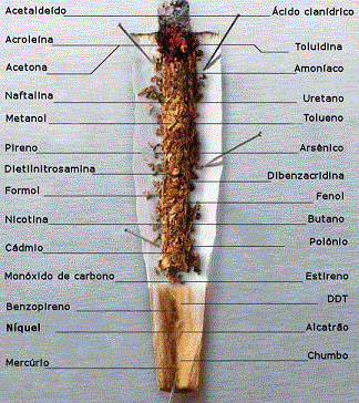 Produtos quimícos do cigarro